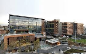 جامعة أجي بادم